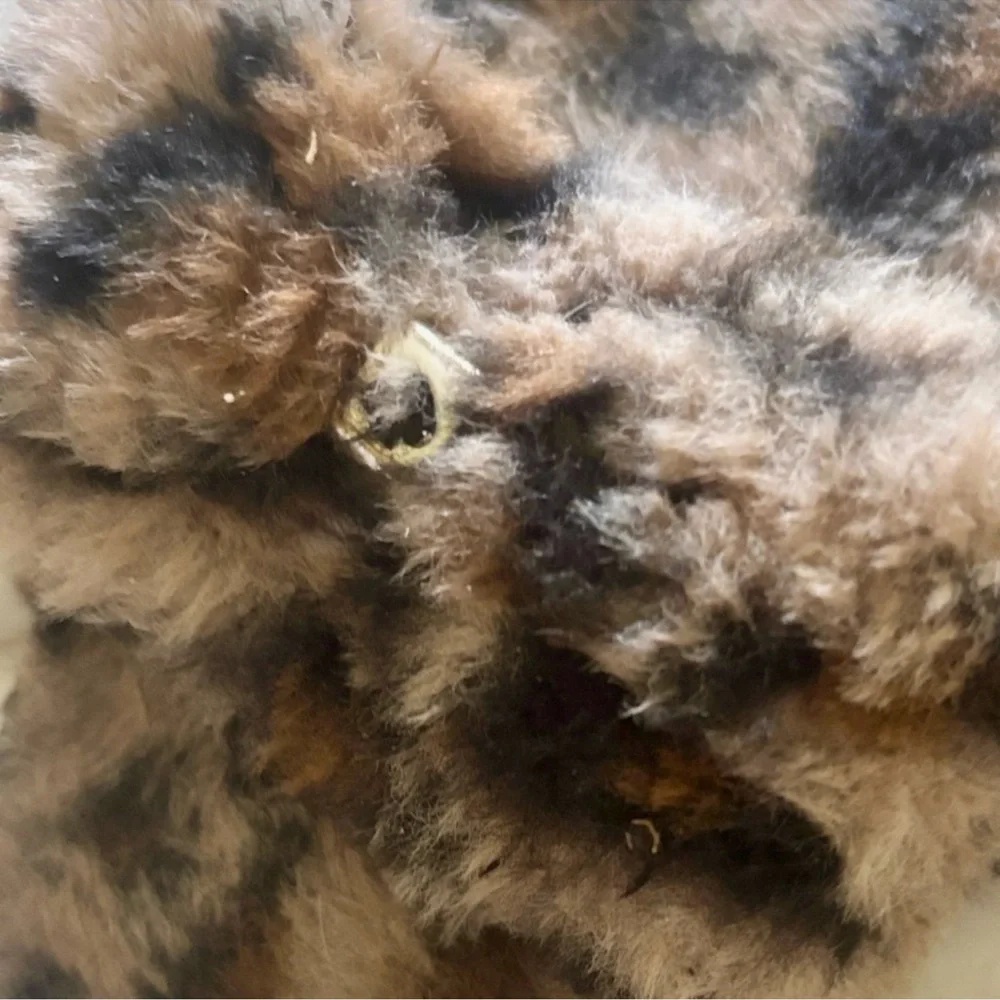 kate spade fuzzy leopard